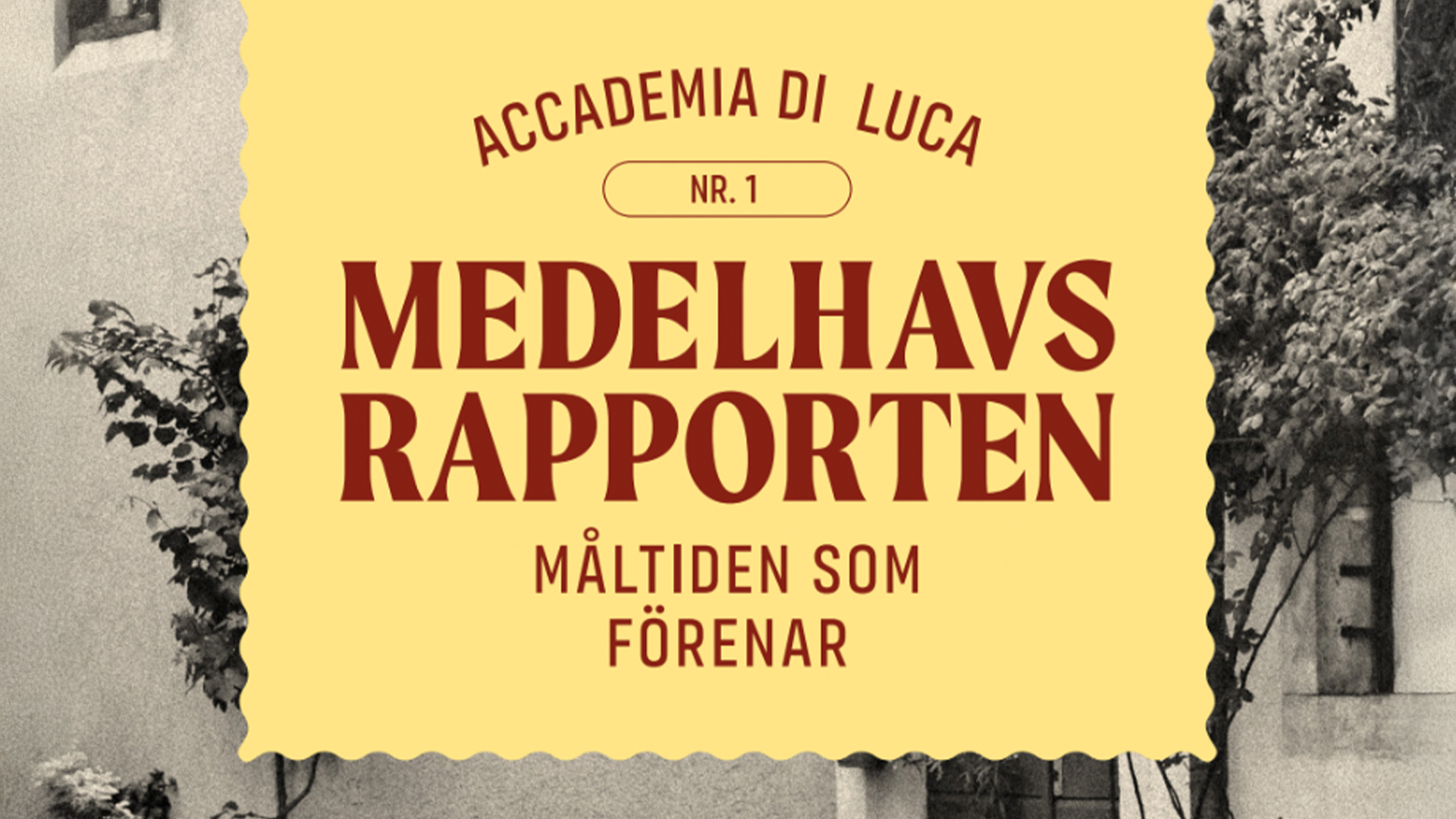 Medelhavsrapporten från accademia Di Luca